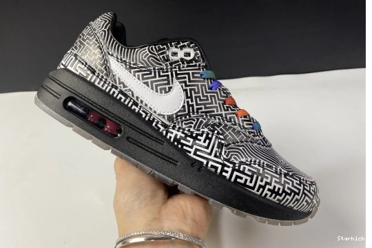 Tokyo Max Air 1 Nike Maze CI1505-001 0302